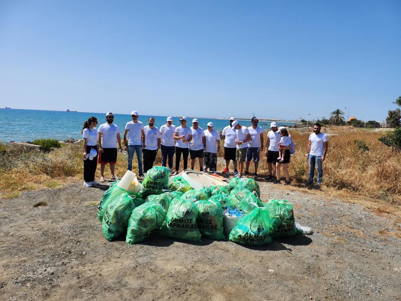 Toyota Cyprus team members cleaning a beach